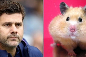 Mauricio Pochettino